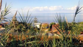 Scaffidi Ludovica – III B – SM G. Verga – Acquedolci