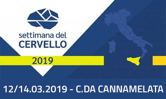 Che fine ha fatto Mr. Cervello?