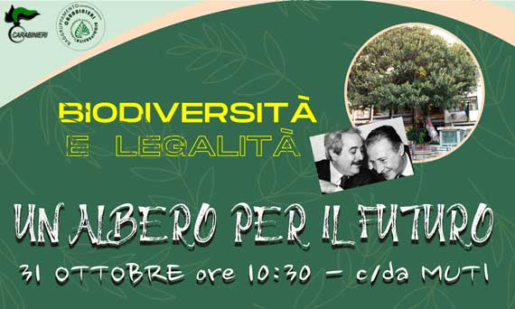 Un albero per il futuro